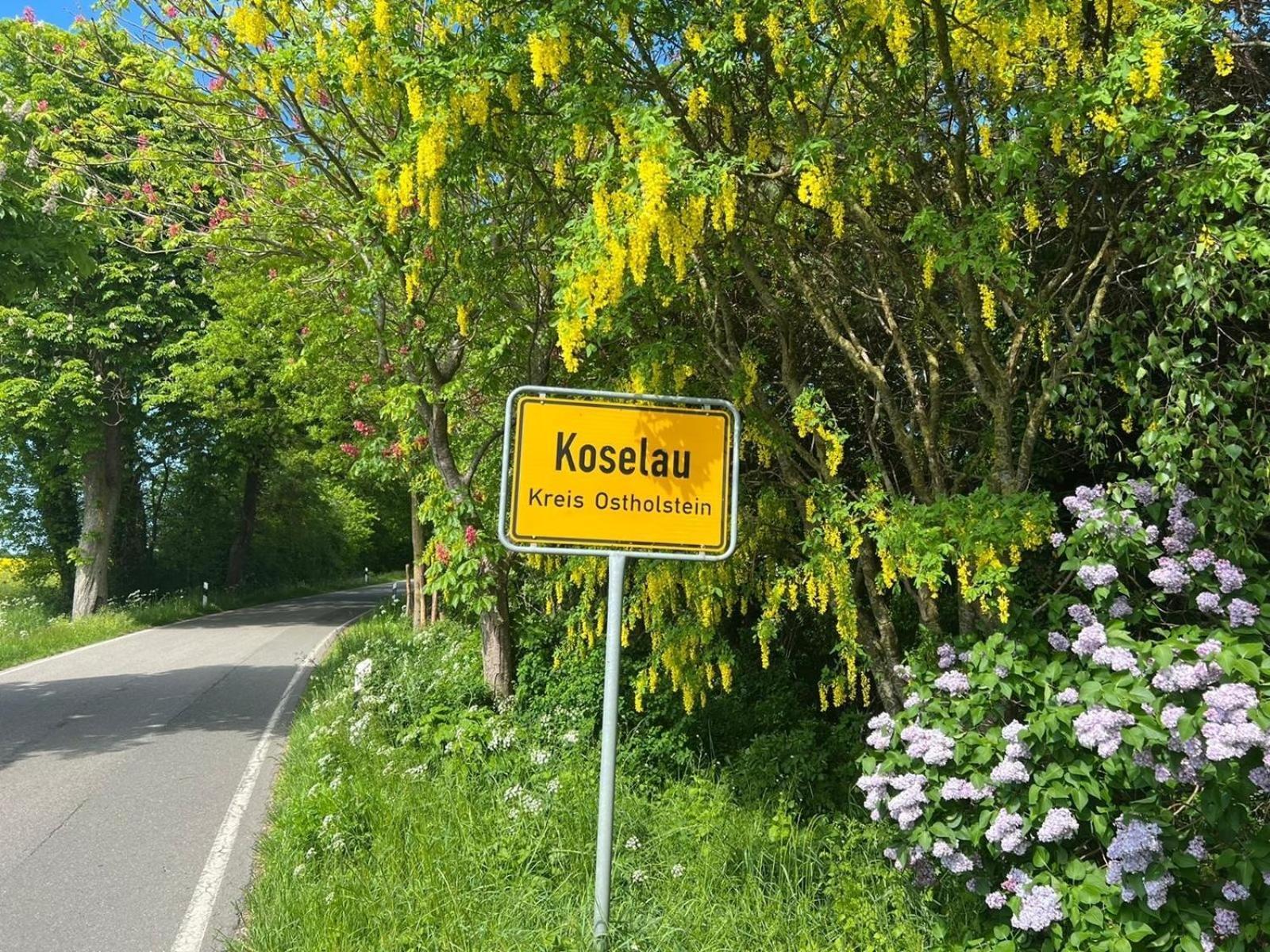 Gut Koselau Landhaus II Экстерьер фото